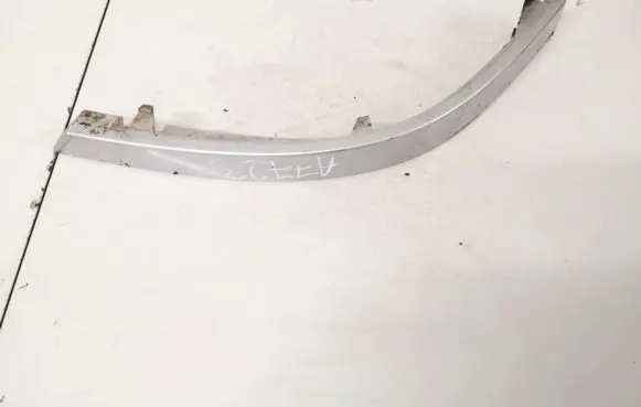 Rear/tail light trim molding