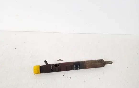 Nissan NV200 Fuel injector 166001137R