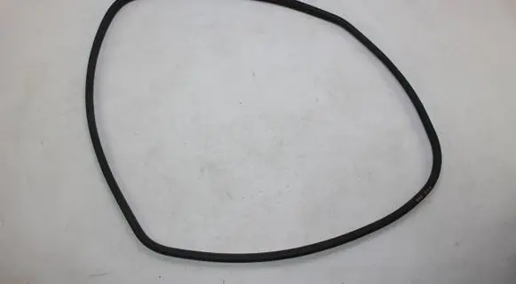 BMW 3 F30 F35 F31 Rubber seal rear door 7318511