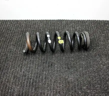 Rear coil spring