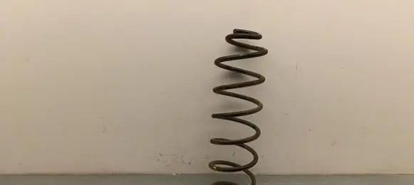 Citroen C4 III e-C4 Rear coil spring