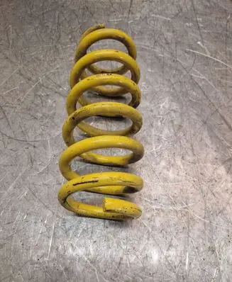 Rear coil spring