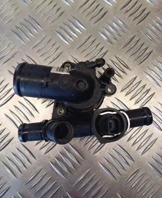 Thermostat/thermostat housing