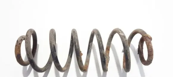 Rear coil spring