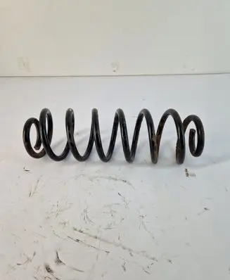 Rear coil spring