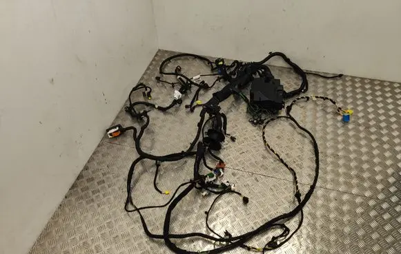 DS Automobiles 4 II Other wiring loom 9843237580