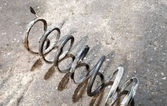 Rear coil spring