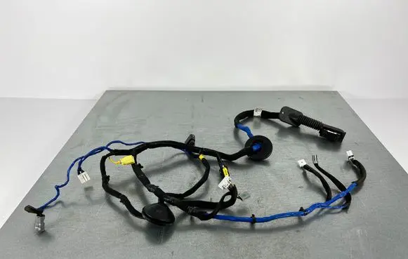 Hyundai Ioniq Front door wiring loom 91600G2880