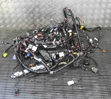 Tesla Model S Other wiring loom 200442300A