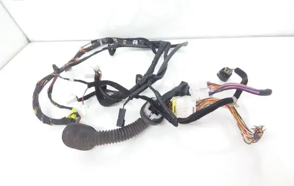 Front door wiring loom