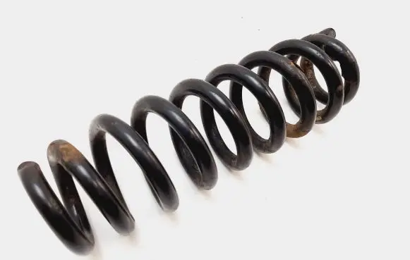 Rear coil spring