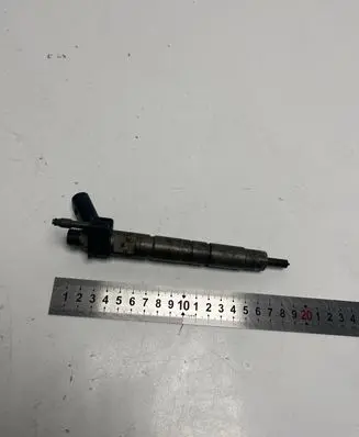 BMW 5 GT F07 Fuel injector 0445116