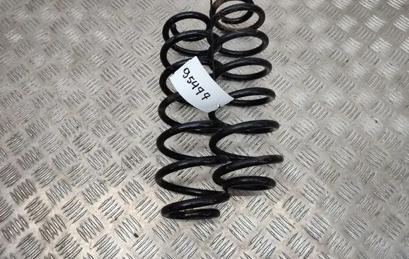 Rear coil spring
