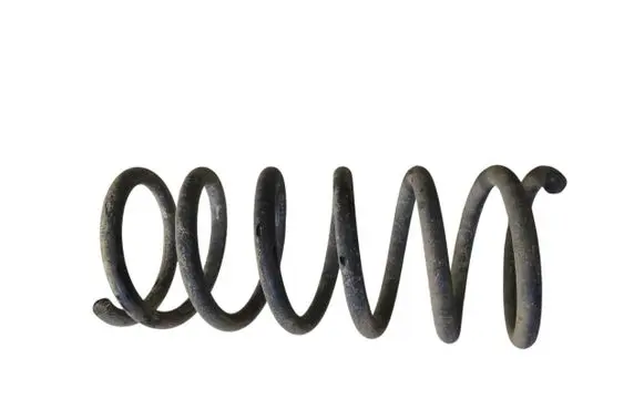 Ford S-MAX Rear coil spring