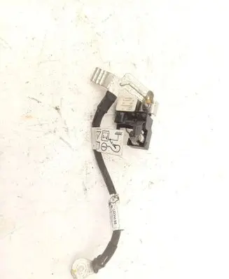 Renault Dacia Duster Positive cable (battery) 250820499R