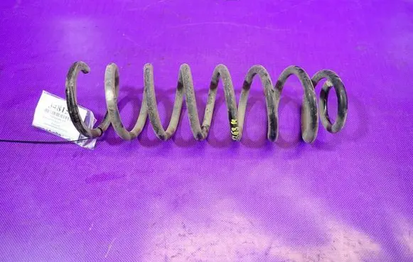 Rear coil spring