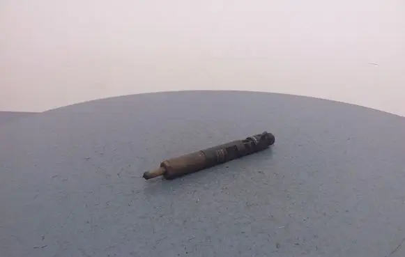 Renault Megane III Fuel injector 8200057225
