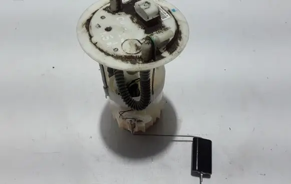 Dacia Dokker In-tank fuel pump 172027123R