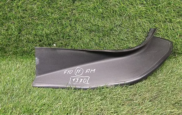 Rear/tail light trim molding