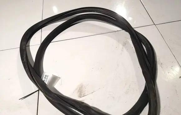 Volkswagen Golf Plus Rubber seal front coupe door 