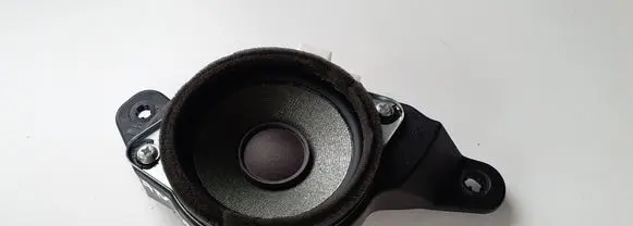 Hyundai Santa Fe Rear door speaker