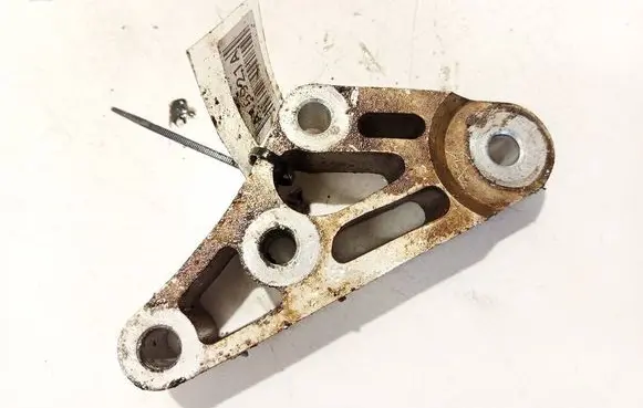 Fiat Doblo Engine mounting bracket 51843113