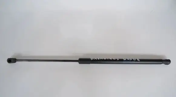 Tesla Model 3 Tailgate/trunk strut/damper 