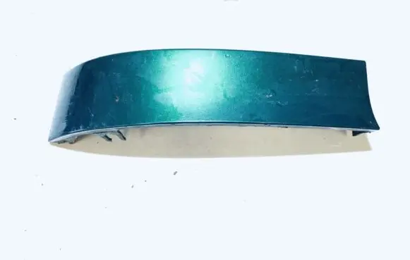 Rear/tail light trim molding