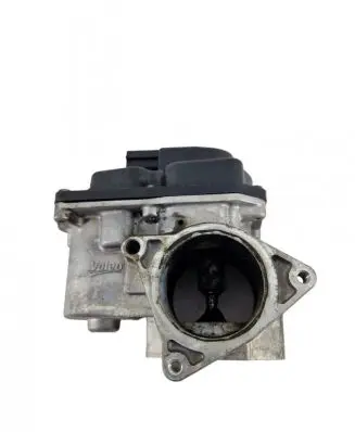 Seat Exeo (3R) EGR valve 03L131501G