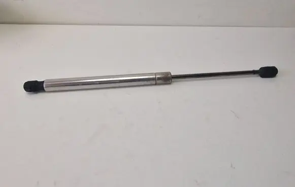 Tailgate/trunk strut/damper