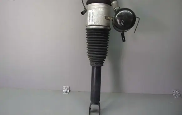 Audi A8 S8 D3 4E Rear shock absorber/damper 4E0616002Q