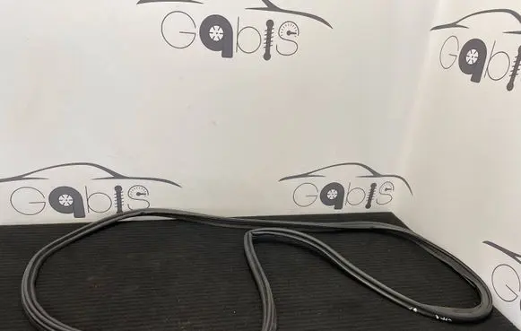 Toyota C-HR I Trunk rubber seal (body) 67881F4010