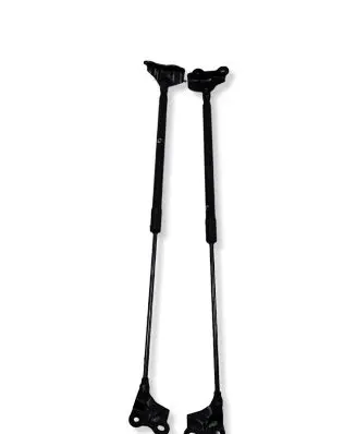 Toyota Corolla E210 E21 Tailgate/trunk strut/damper 6895002191 6896002201