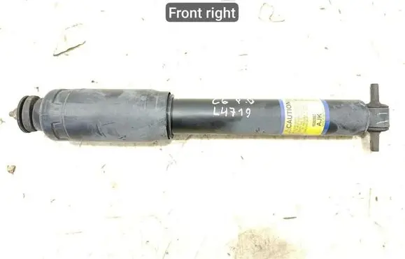 Chevrolet Corvette C6 Front shock absorber/damper 10302857