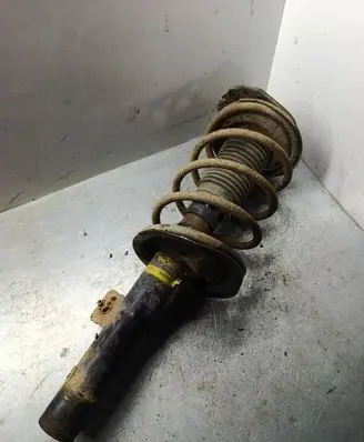 Peugeot 307 Front shock absorber with coil spring