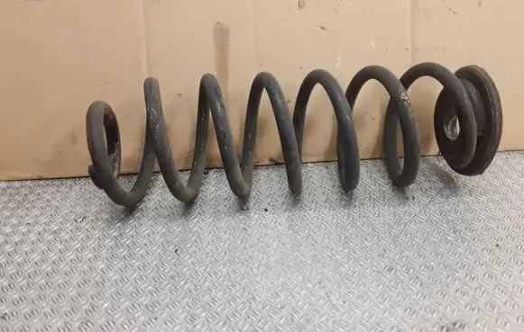 Rear coil spring