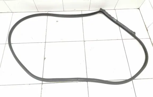 BMW 5 GT F07 Front door rubber seal 7196350