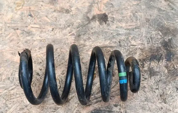 Rear coil spring