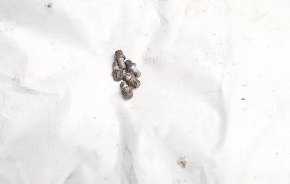 Mitsubishi Outlander Nuts/bolts 