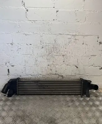 Renault Laguna III Intercooler radiator 3M5H9L440AE