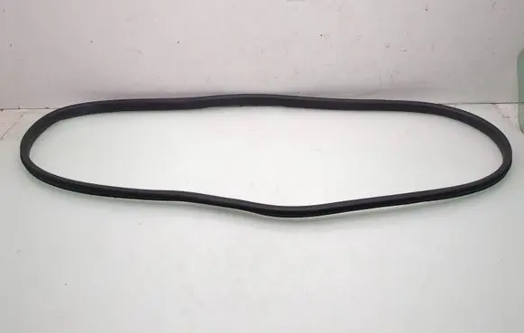 Dacia Logan III Front door rubber seal