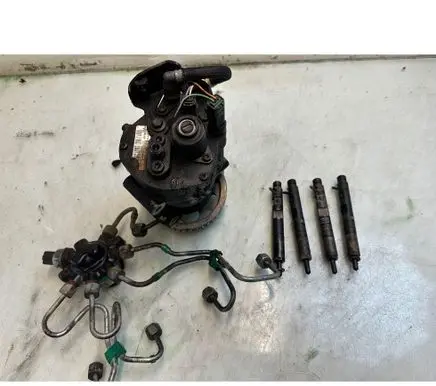 Renault Clio III Fuel injector 8200815416