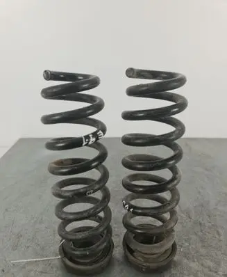 Rear coil spring