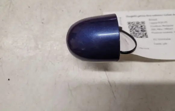 Renault Laguna II Rear door handle cover 8200028784