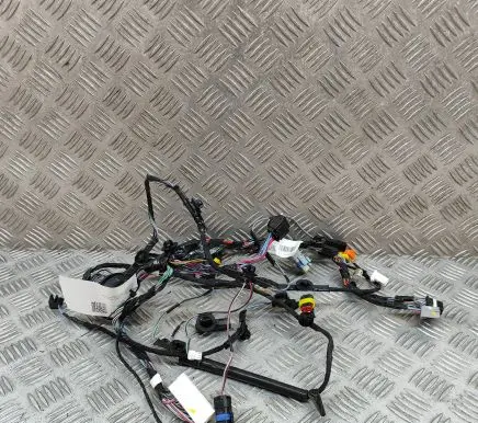 Tesla Model X Other wiring loom 103244200G