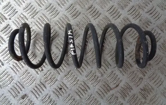 Rear coil spring