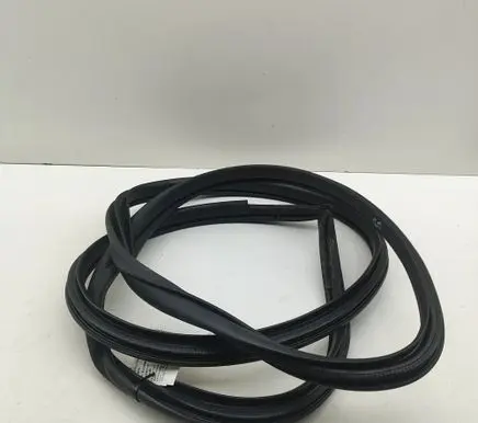 Lexus NX Rubber seal rear door 6786178020