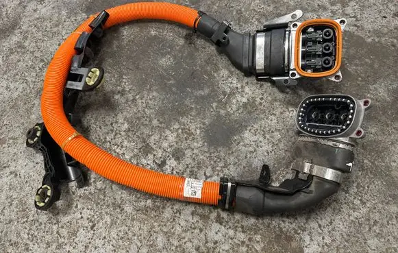 BMW 3 G20 G21 Other wiring loom 6809228