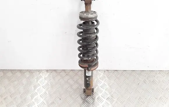 Peugeot 407 Rear shock absorber with coil spring 8767