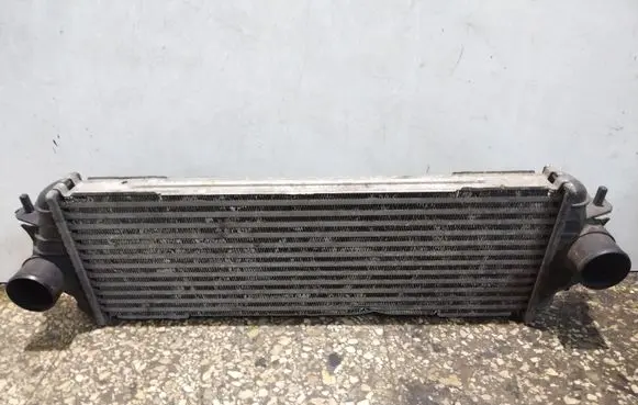 Renault Trafic II (X83) Intercooler radiator 91166035